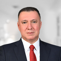 Prof. Dr. Mehmet Hacıyanlı